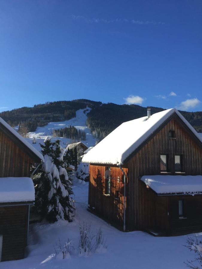 Alpenferienhaus Kreischberg Sankt Lorenzen ob Murau Exterior foto