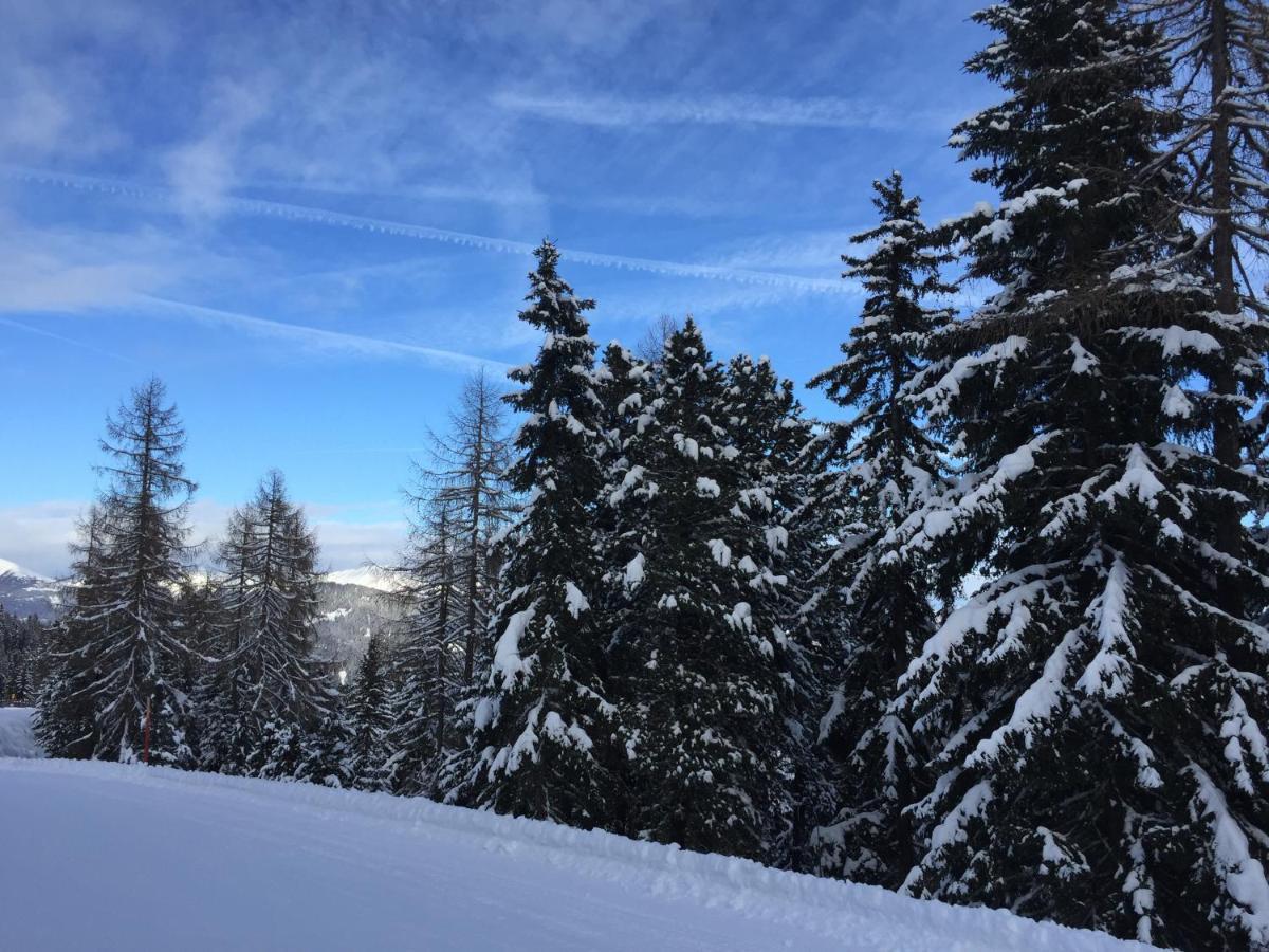 Alpenferienhaus Kreischberg Sankt Lorenzen ob Murau Exterior foto