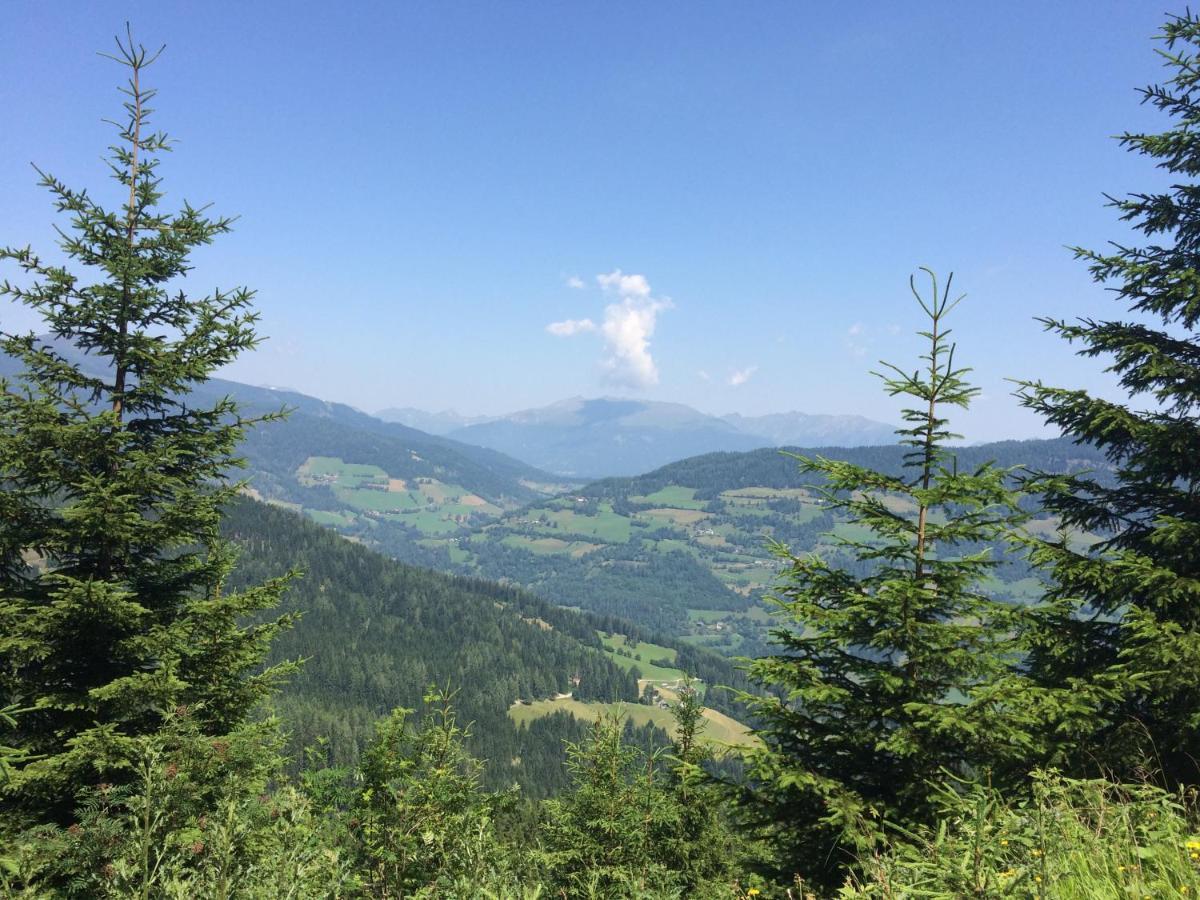 Alpenferienhaus Kreischberg Sankt Lorenzen ob Murau Exterior foto